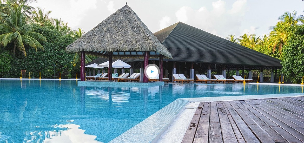 3dfbedd1 video bg Hotel Paradise DLX